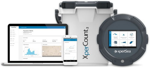 物聯互聯，智能養殖 網絡技術如何重塑現代水產養殖業